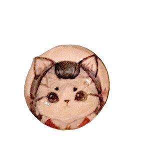 Snap Jewelry Button